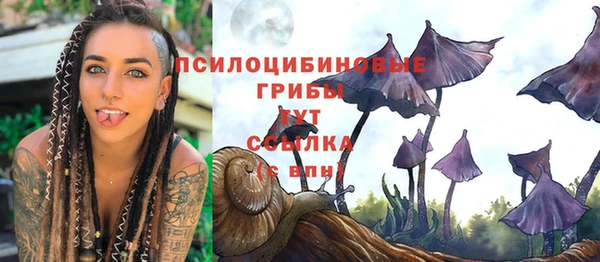 не бодяженный Аша