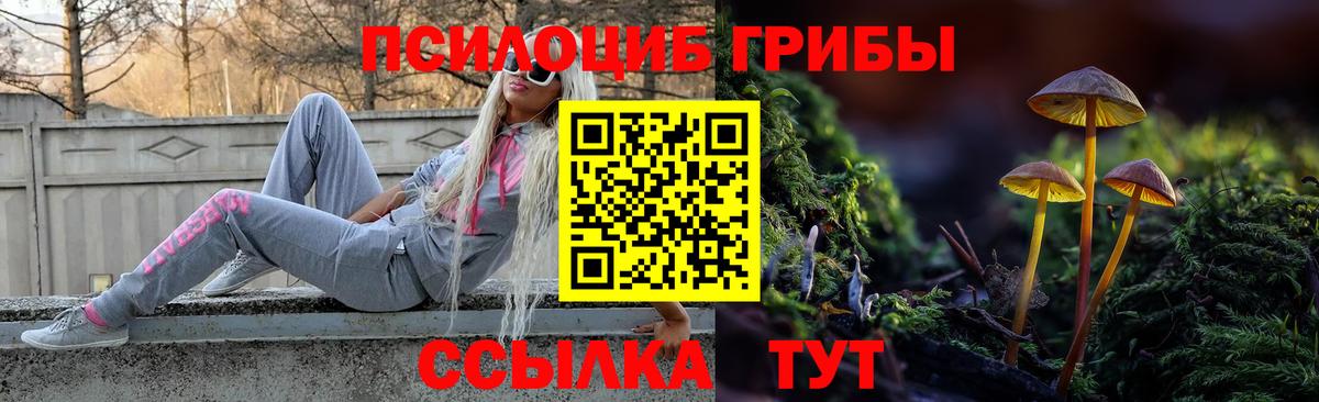 Балтийск  Псилоцибиновые грибы прущие грибы  Вход с VPN 